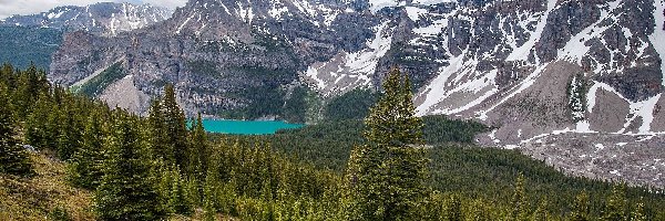 Góry, Jezioro Moraine, Dolina Dziesięciu Szczytów, Park Narodowy Banff, Kanada, Szczyty, Drzewa, Dolina Valley of the Ten Peaks, Lasy
