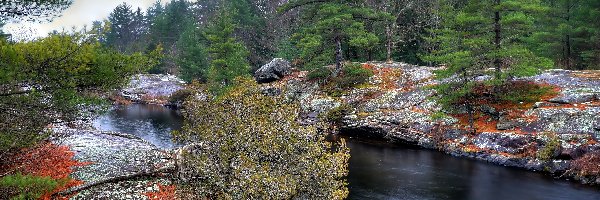 Skały, Rzeka, Las