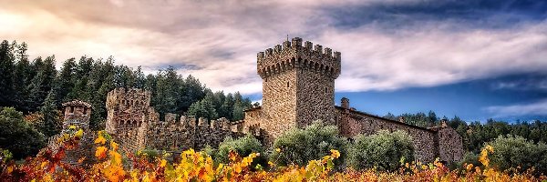 Di Amorosa, Valley, Castello, Winnica, Napa, Kalifornia