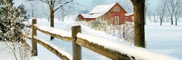 Dom, Śnieg, Droga, Drzewa, Płot, Zima