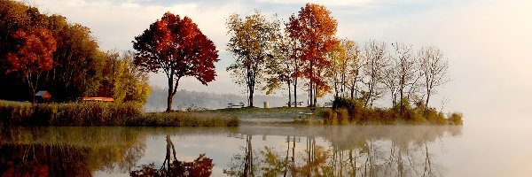 Drzewa, Jezioro, Jesień