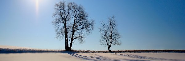 Błyszczący, Słońce, Śnieg, Zenicie, W