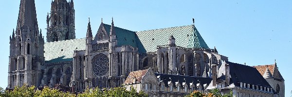 Katedra, Drzewa, Domy, Chartres