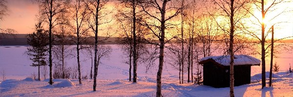 Zachód Słońca, Śnieg, Drzewa