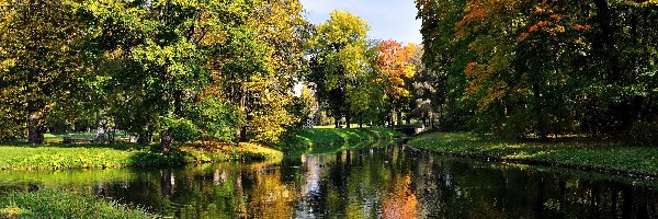 Park, Odbicie, Rzeka, Jesień