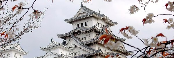 Pagoda, Japońska