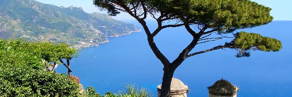 Drzewo, Włochy, Amalfi, Morze