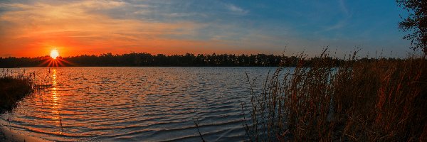 Zachód, Trzciny, Słońca, Jezioro