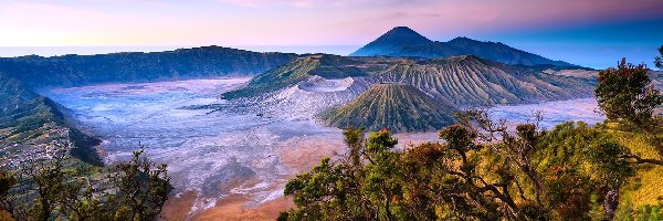 Bromo, Indonezja, Drzewa, Góra