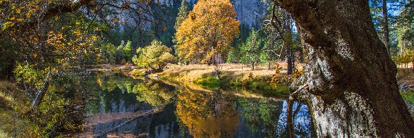 Drzewa, Park Narodowy Yosemite, Góry, Stan Kalifornia, Stany Zjednoczone, Jesień, Rzeka