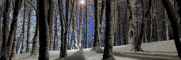 Zima, Latarnia, Park, Drzew, Cienie