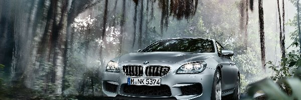 Bmw M6 GranCoupe