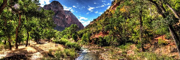 Rzeka, Park Narodowy Zion, Góry, Las, Stan Utah, Stany Zjednoczone