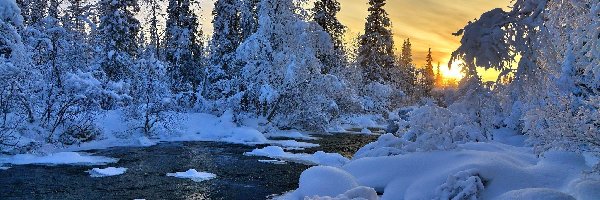 Rzeka, Drzewa, Zachód Słońca, Zima