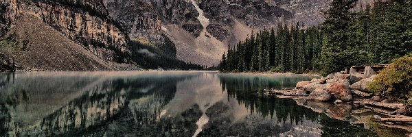 Las, Kamienie, Jezioro, Góry