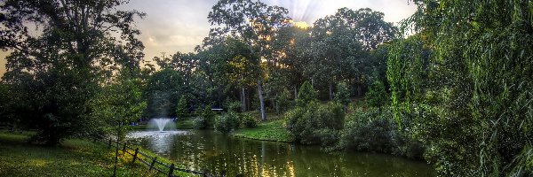 Park, Wodotrysk, Staw, Światło, Przebijające