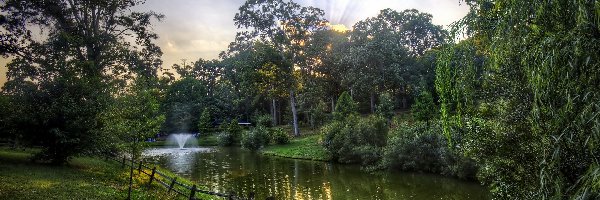 Park, Wodotrysk, Staw, Światło, Przebijające