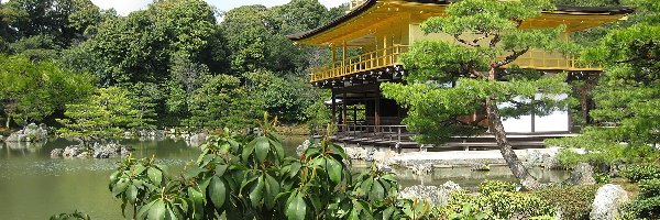 Drzewa, Złoty Pawilon, Świątynia Kinkakuji, Staw Kyko chi, Japonia, Kioto