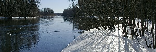 Drzewa, Rzeka, Zima