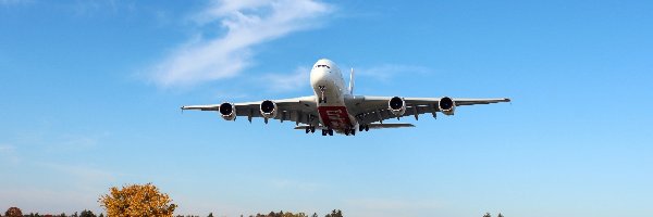 Airbus A380, Las, Łąka, Samolot