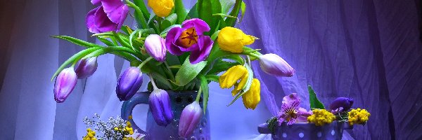 Tulipany, Kompozycja, Fioletowa, Kolorowe