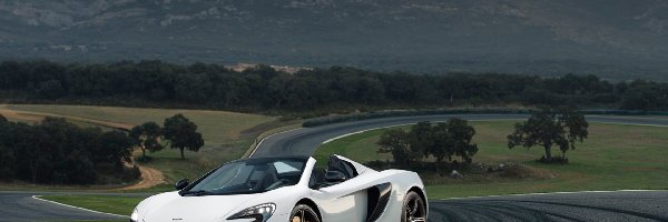 McLaren, Droga, 650S, Lasy, Góry