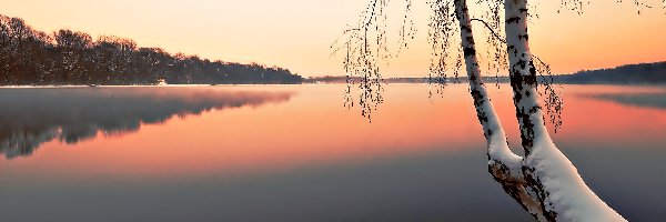 Mgła, Ośnieżone Drzewo, Jezioro