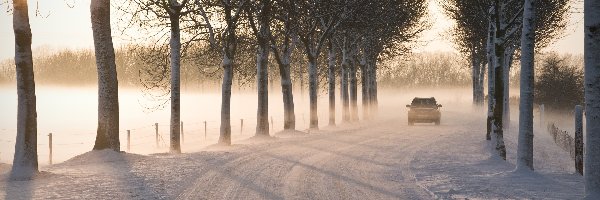 Zima, Droga, Śnieg, Samochód, Drzewa