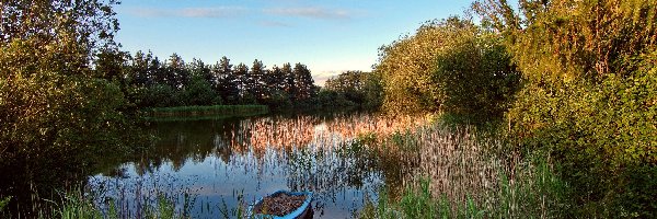 Łódka, Szuwary, Jezioro