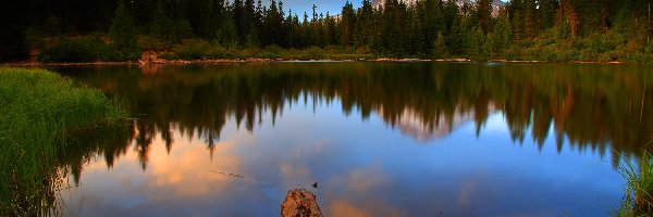 Las, Park Narodowy Yosemite, Jezioro Mirror Lake, Odbicie, Stan Kalifornia, Stany Zjednoczone
