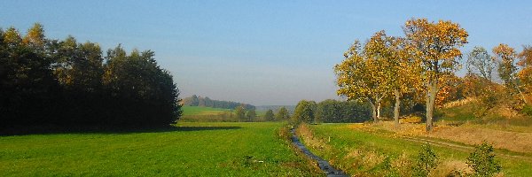Drzewa, Strumyk, Jesień