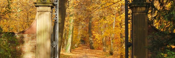 Park, Liście, Drzewa, Jesień, Brama