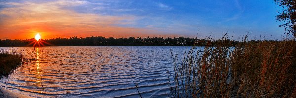 Szuwary, Słońca, Wschód, Jezioro