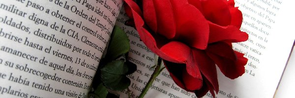 Książka, Róża