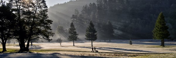 Mgła, Poranek, Park