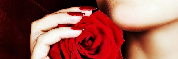 Róża, Dłoń, Kobieta