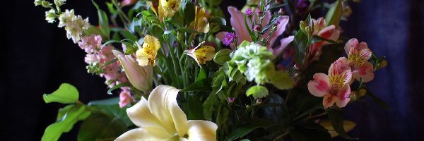 Kwiatów, Alstremeria, Lilia, Bukiet