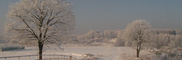 Śnieg, Droga, Polna, Zima