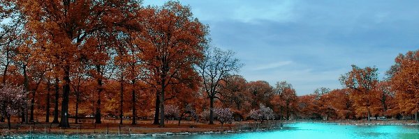 Park, Jesień, Drzewa, Rzeka