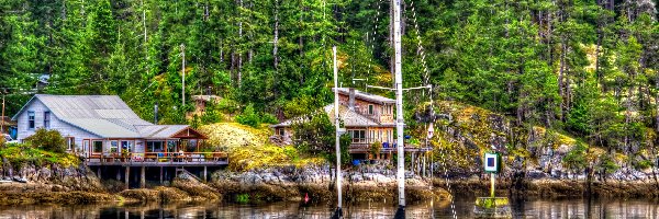Jezioro, Domy, Jacht, HDR, Las