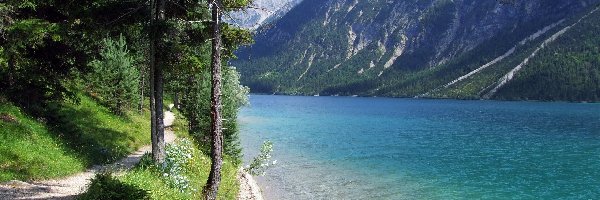Rzeka, Ścieżka, Las, Góry