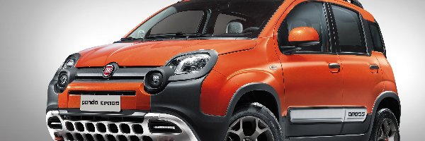 Fiat Panda Cross