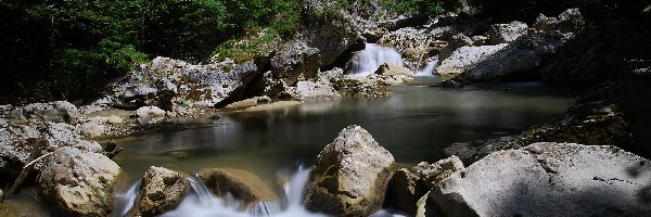 Skały, Potok, Las