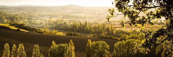 Droga, Panorama, Drzewa, Pola