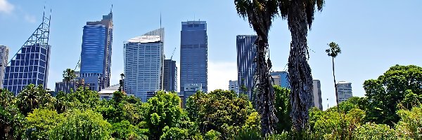 Brisbane, Chmur, Drapacze, Miejski, Park