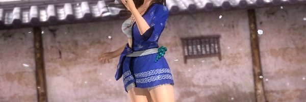 Kokoro, Dead Or Alive 5