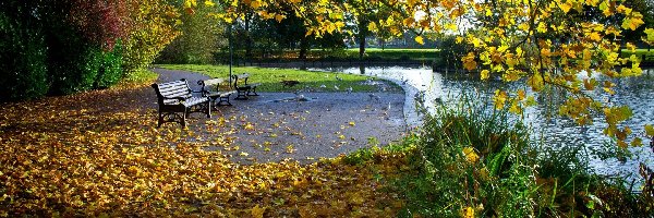 Jesień, Staw, Park, Liście, Ławka