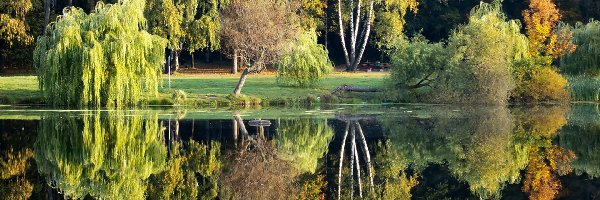 Park, Odbicie, Staw, Jesień