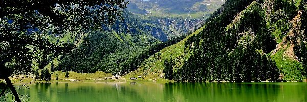 Lasy, Schwrzensee, Jezioro, Góry