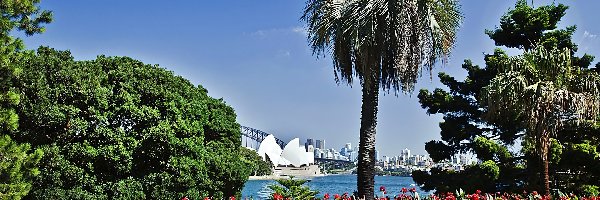 Sydney, Panorama, Park